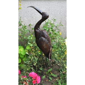 Ibis