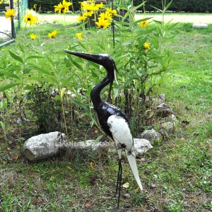 Petit héron blanc cou courbe