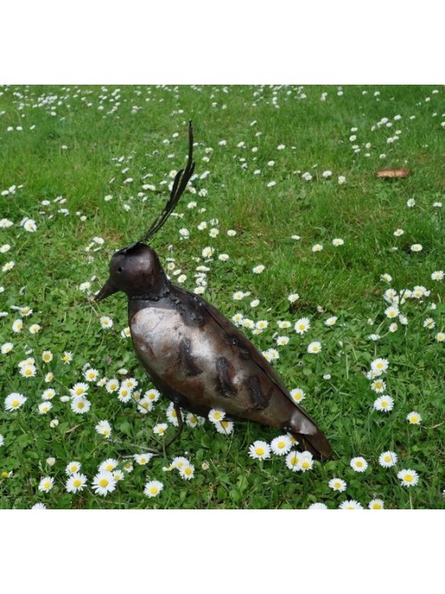 Vanneau huppé oiseau pour le jardin - La Galerie Equitable