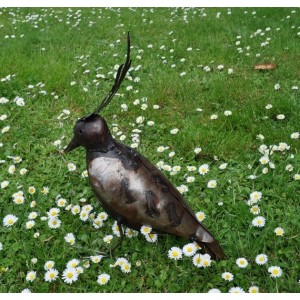 Vanneau huppé oiseau pour le jardin - La Galerie Equitable