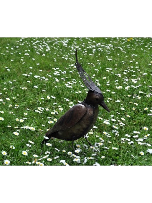 Vanneau huppé oiseau pour le jardin - La Galerie Equitable
