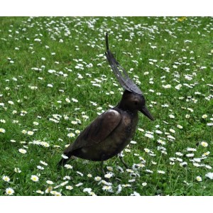 Vanneau huppé oiseau pour le jardin - La Galerie Equitable
