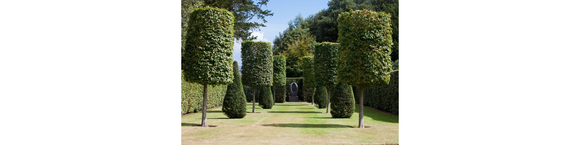 Hérons en métal pour le jardin - déco - La Galerie Equitable